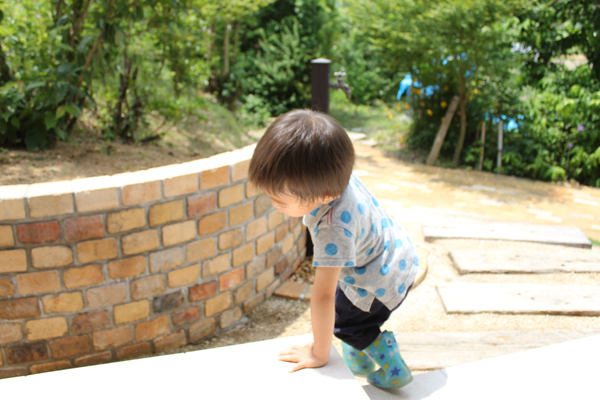 お庭が子供たちの教室に、自然と調和したナチュラルガーデン